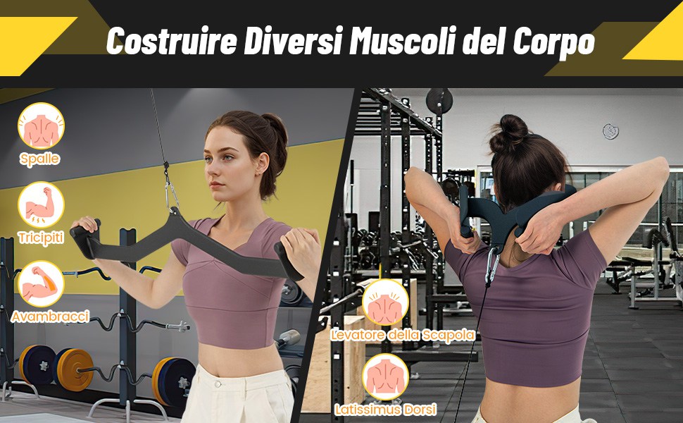 Costruisci Velocemente Muscoli di Schiena e Braccia