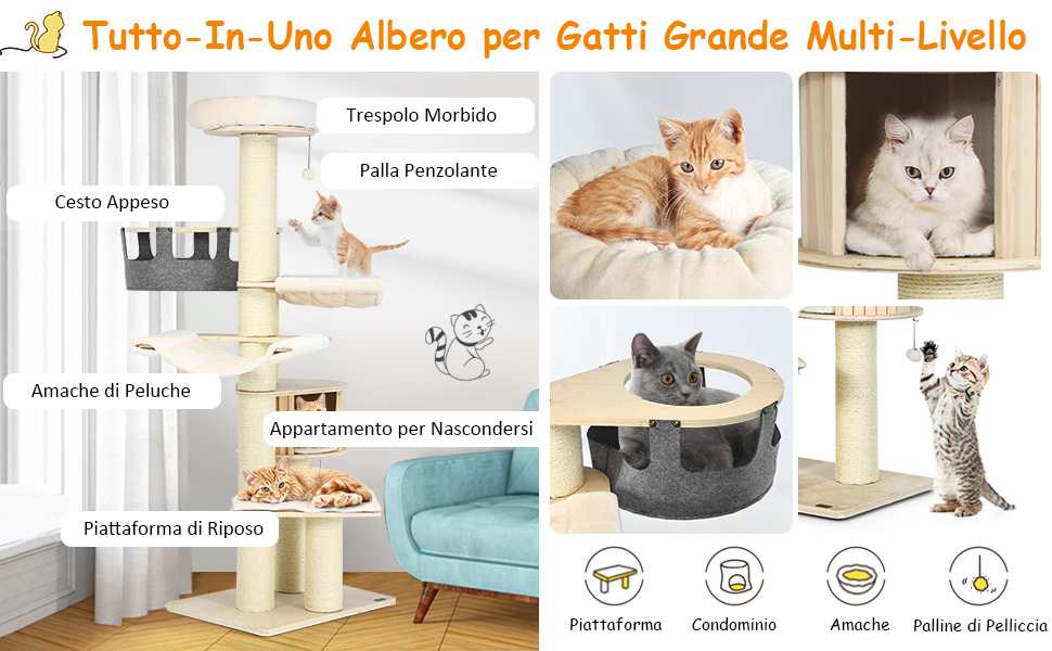 Soddisfa gli Istinti Naturali dei Gatti