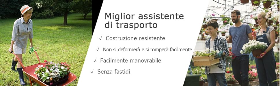 Manico e ruote